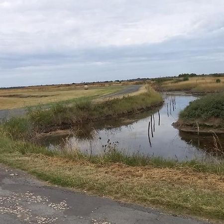 En plein cœur de l’Île d'Oléron, suite parentale. Dolus d'Oléron Exterior foto